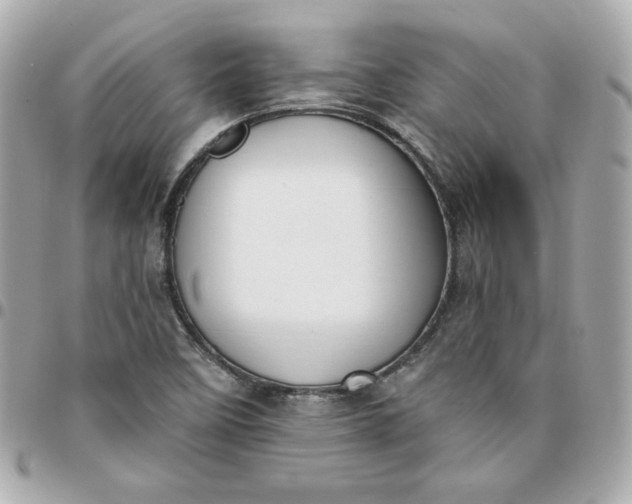 X0000096211458200802011311