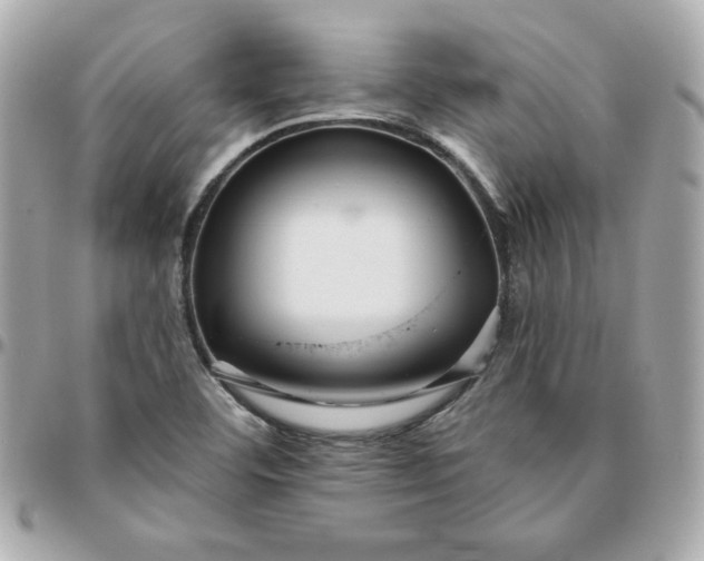 X0000096211460200802011311