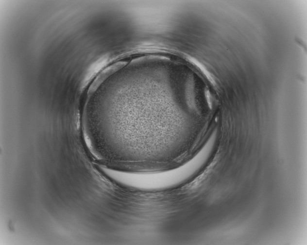 X0000096211461200802011311