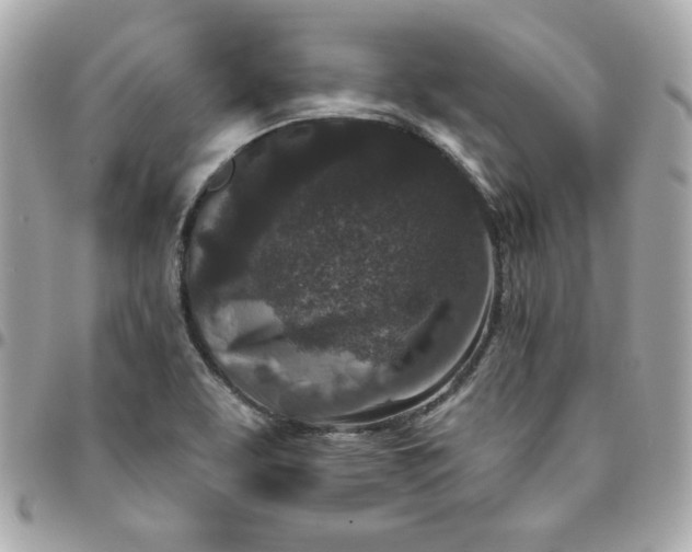 X0000096211463200802011311