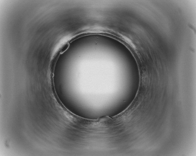 X0000096211464200802011311