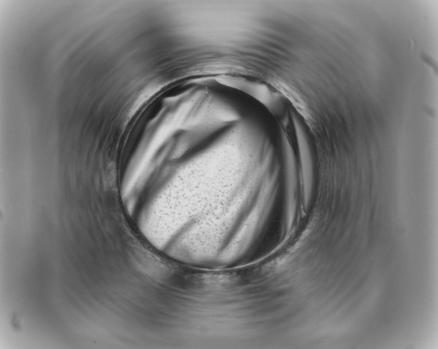 X0000096211465200802011311