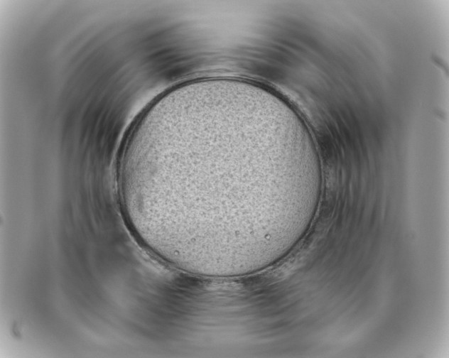 X0000096211466200802011311