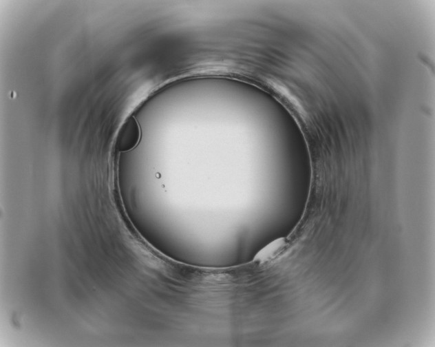 X0000096211467200802011311