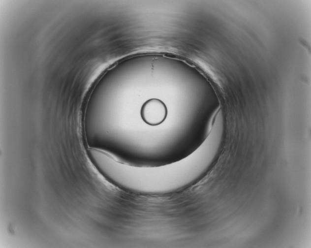 X0000096211468200802011311