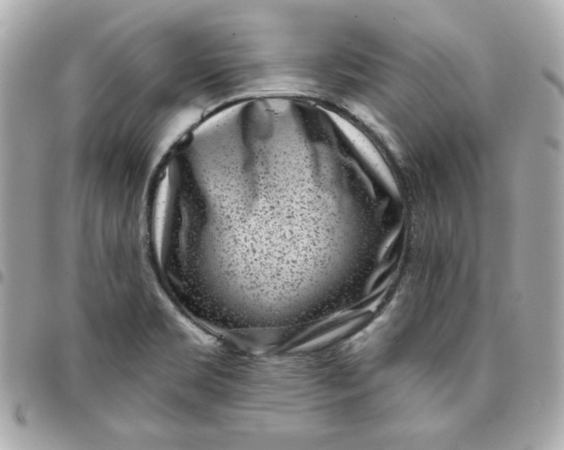 X0000096211469200802011311