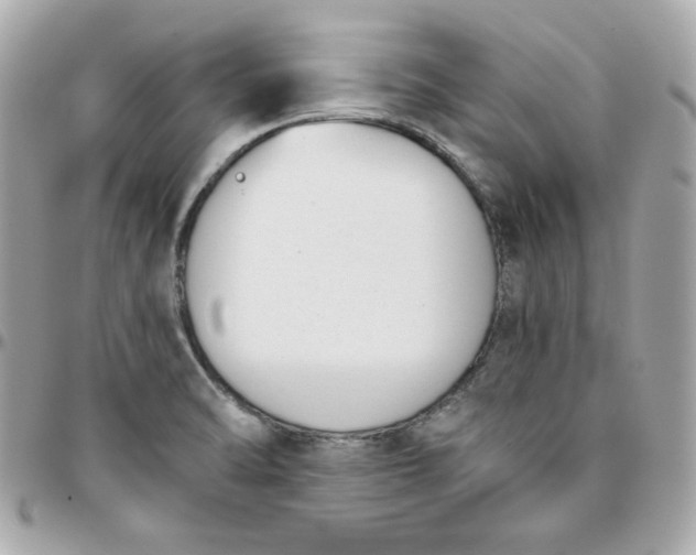 X0000096211470200802011311