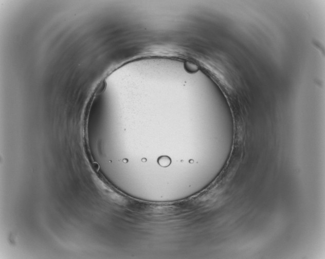 X0000096211471200802011311