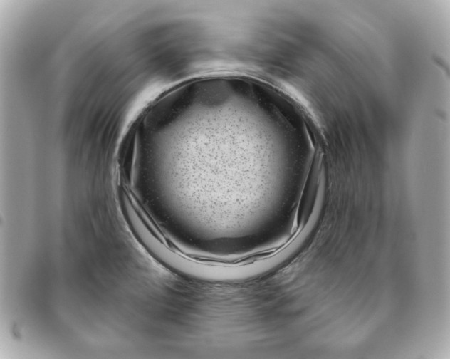 X0000096211472200802011311