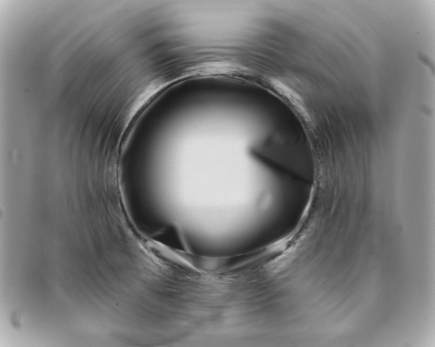 X0000096211473200802011311