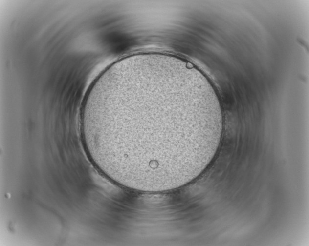 X0000096211474200802011311