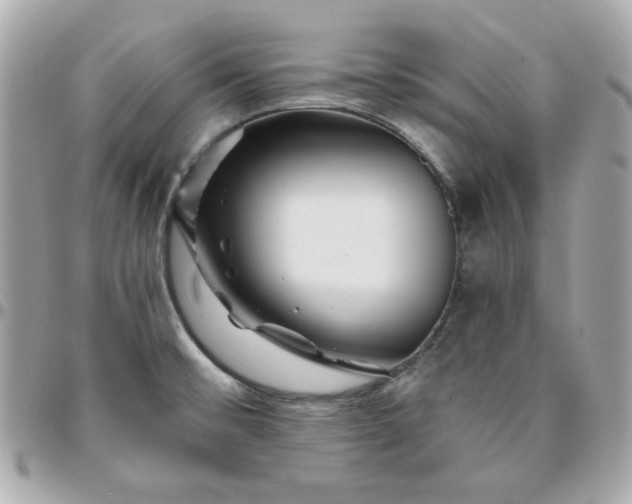 X0000096211476200802011311