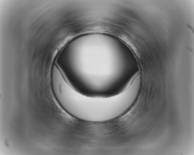 X0000096211477200802011311