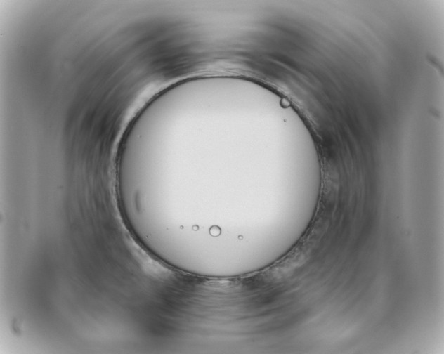 X0000096211478200802011311