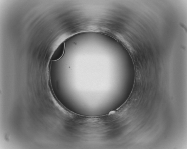 X0000096211479200802011311