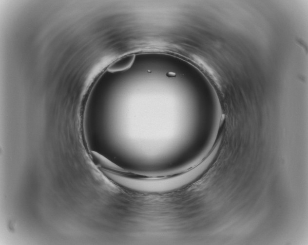 X0000096211480200802011311