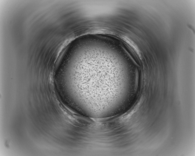 X0000096211481200802011311