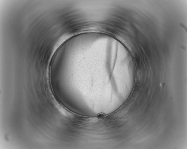 X0000096211482200802011311