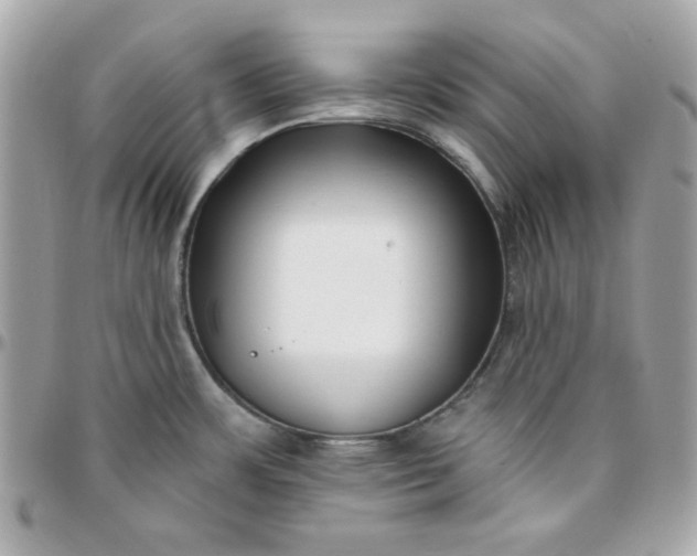 X0000096211483200802011311