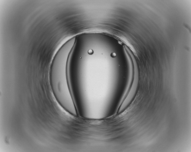 X0000096211484200802011311