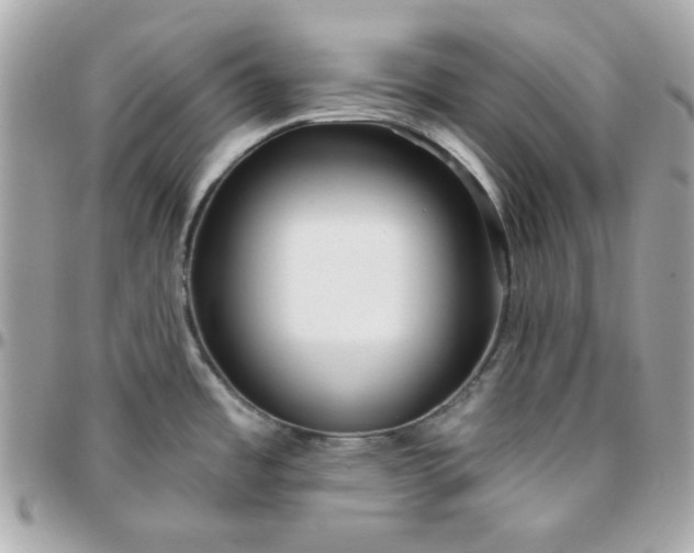 X0000096211485200802011311