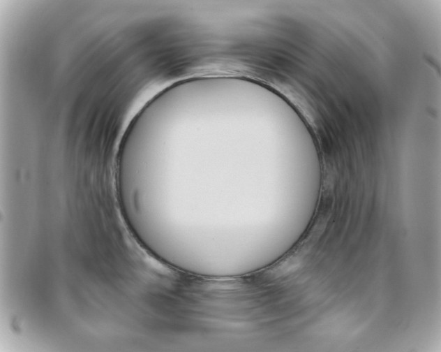 X0000096211486200802011311