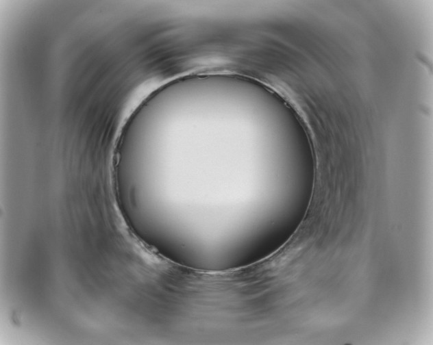 X0000096211488200802011311