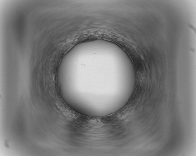 X0000096211489200802011310