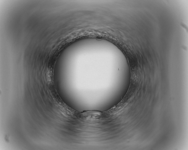 X0000096211490200802011310