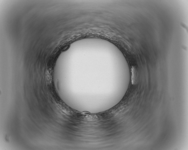 X0000096211491200802011310