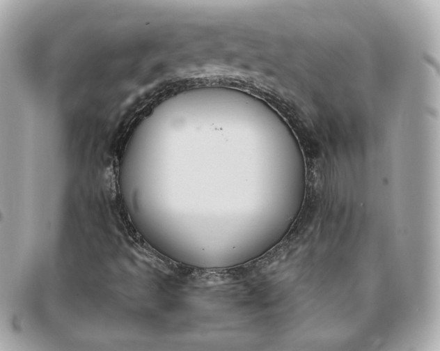 X0000096211493200802011310