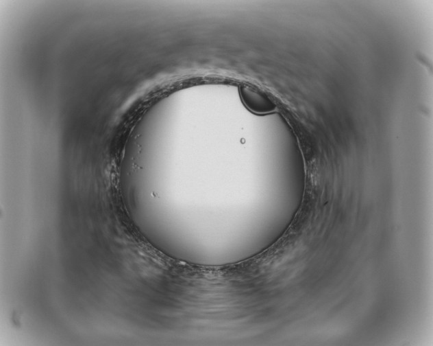 X0000096211495200802011310