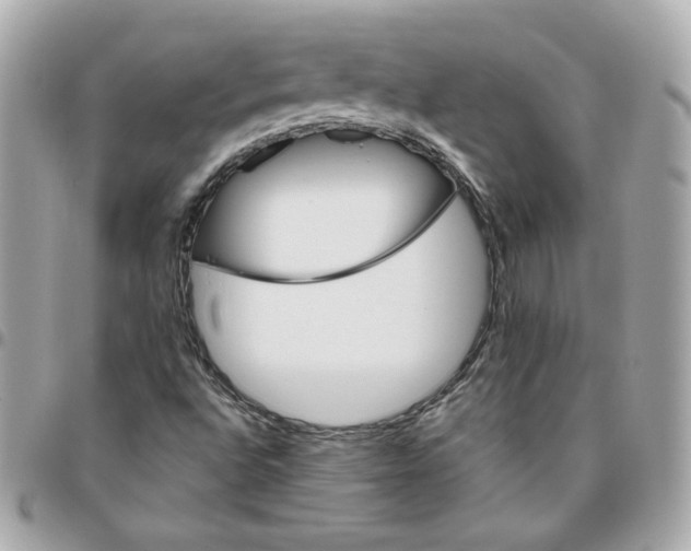 X0000096211496200802011310