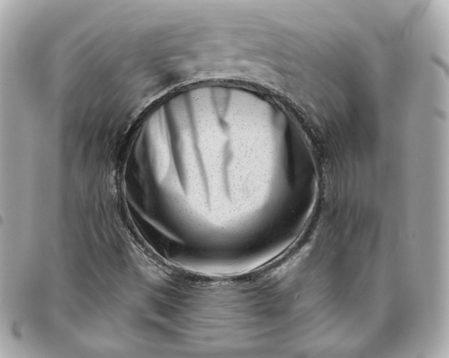 X0000096211497200802011310