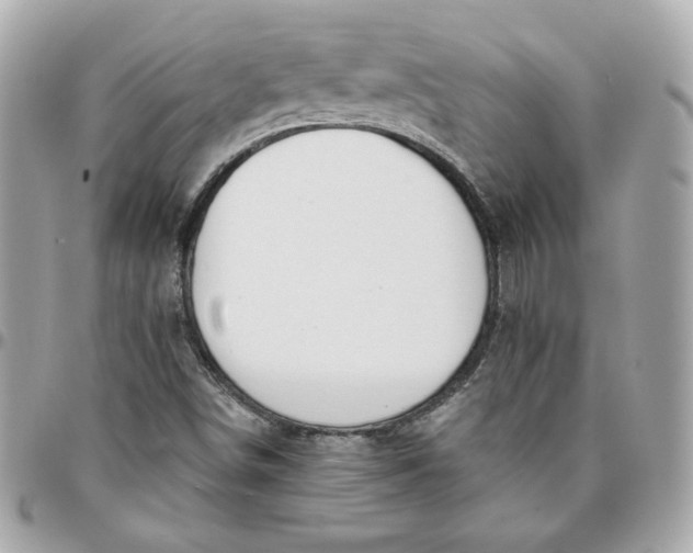 X0000096211498200802011310