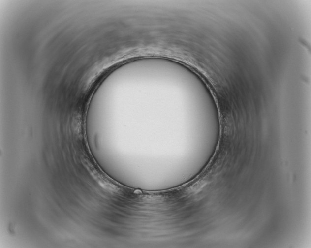 X0000096211499200802011310