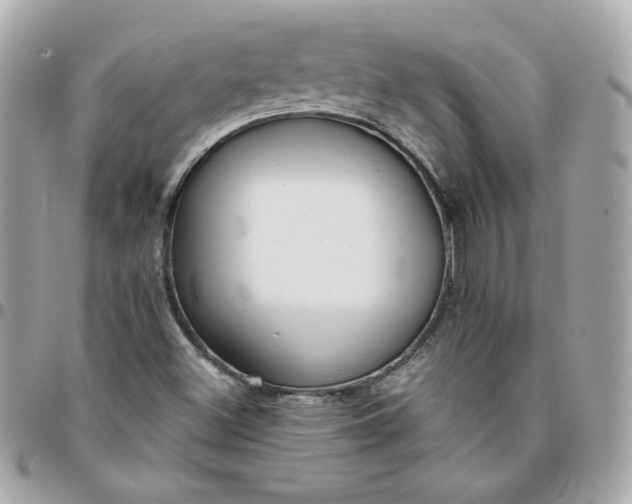 X0000096211500200802011310