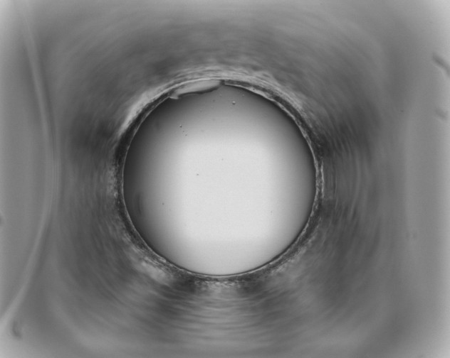 X0000096211501200802011310