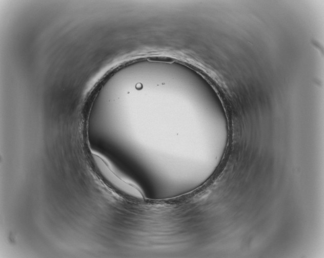 X0000096211502200802011310