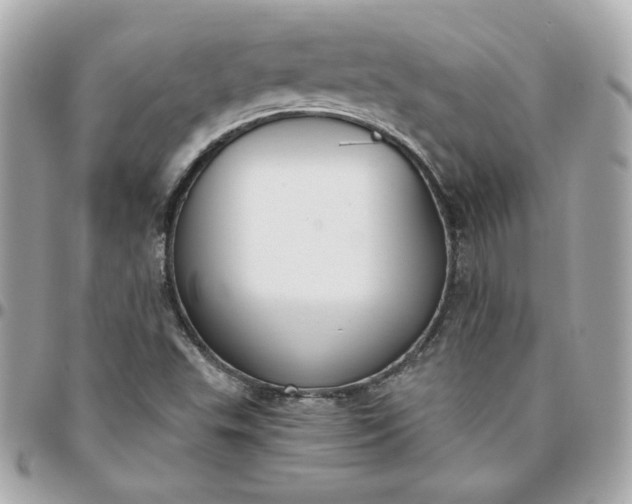 X0000096211503200802011310