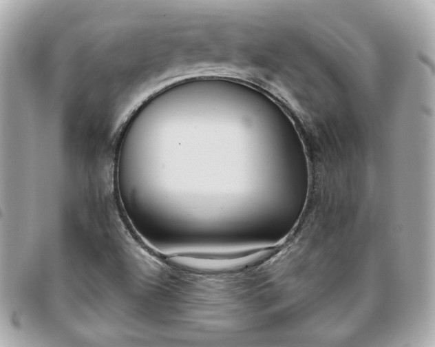 X0000096211504200802011310