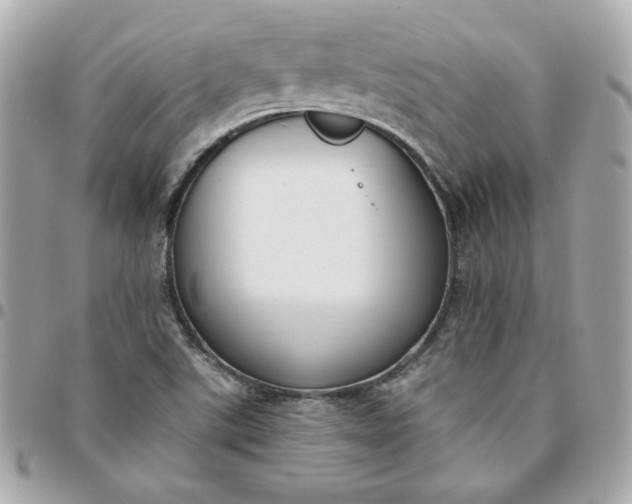 X0000096211507200802011310