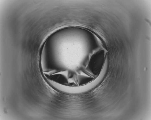 X0000096211508200802011310