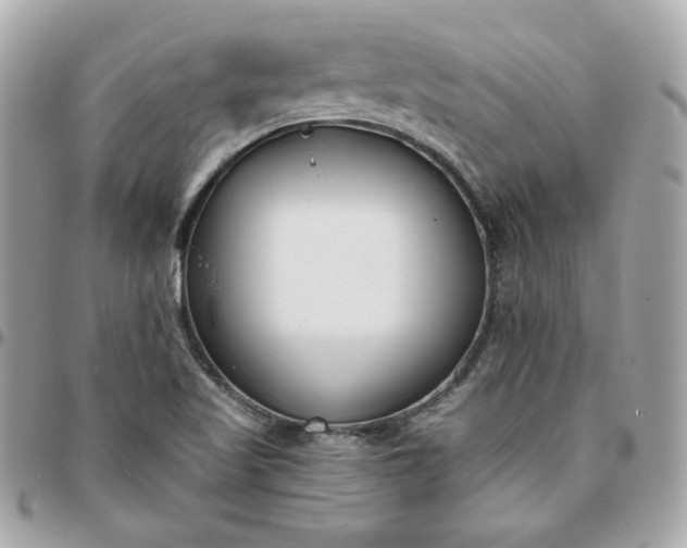 X0000096211509200802011310