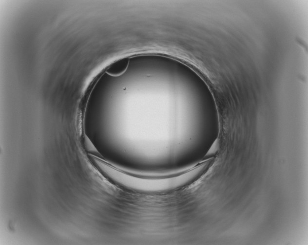 X0000096211510200802011310