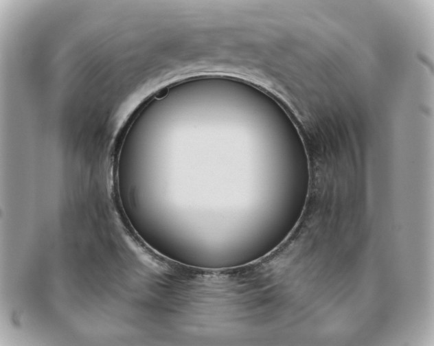 X0000096211511200802011310