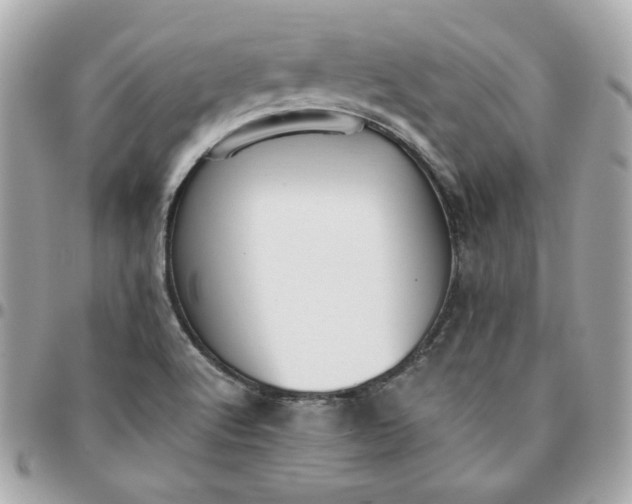 X0000096211512200802011310