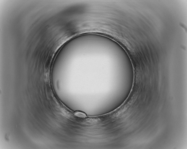 X0000096211513200802011310