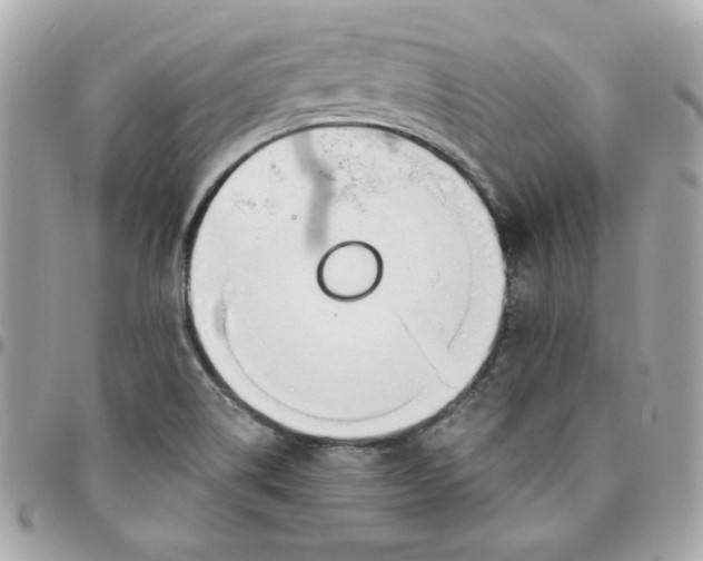 X0000096211514200802011310