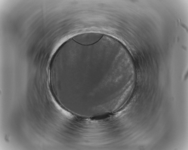 X0000096211515200802011310